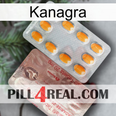 Kanagra new13